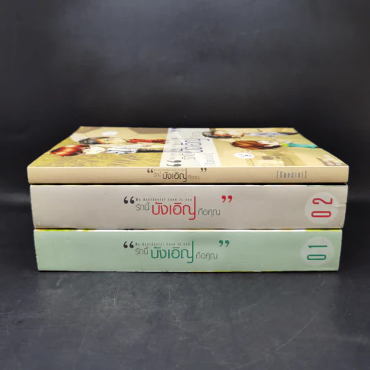 My Accidental Love is You รักนี้บังเอิญคือคุณ 2 เล่มจบ Boxset - MAME รูปที่ 3