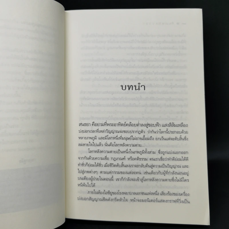 สิเน่หาสนธยา - ณัฐกฤตา รูปที่ 10