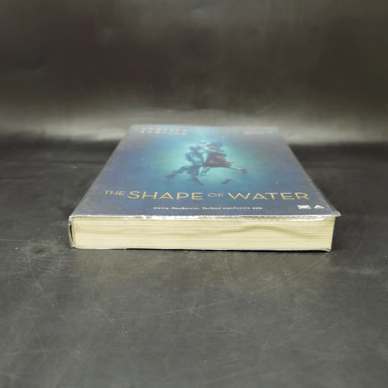 The Shape of Water มหัศจรรย์รักต่างภพ - Guillermo del Toro, Daniel Kraus รูปที่ 4