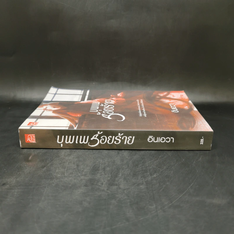 บุพเพร้อยร้าย - อินเอวา รูปที่ 3