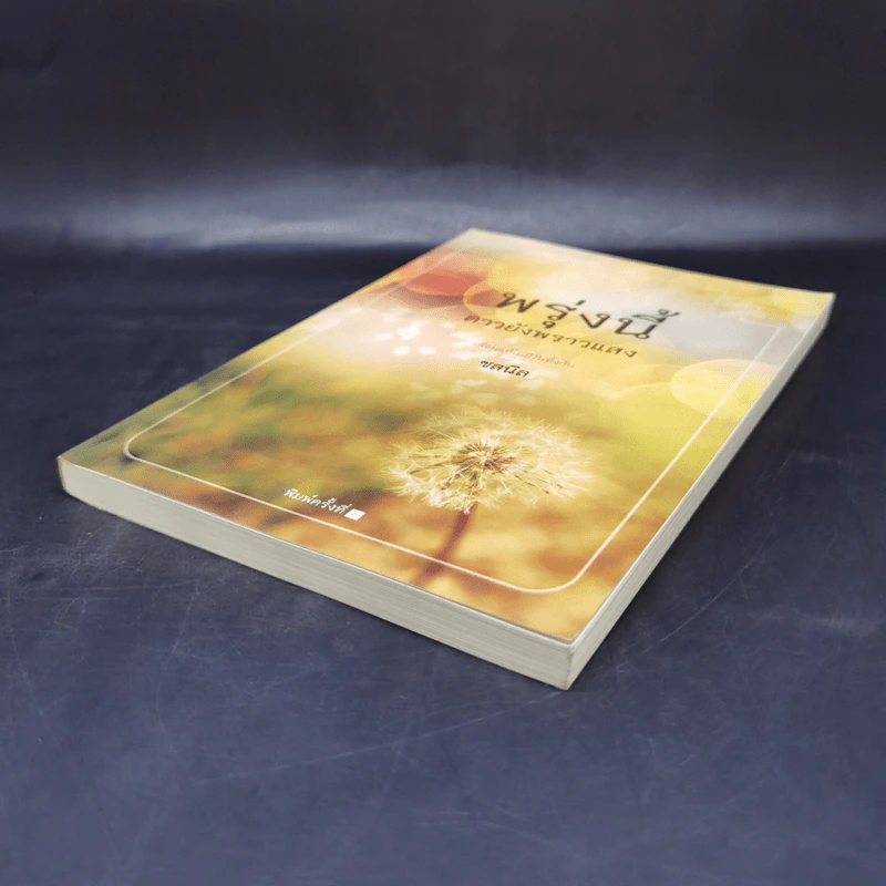 พรุ่งนี้ ดาวยังพราวแสง - ชลนิล รูปที่ 7