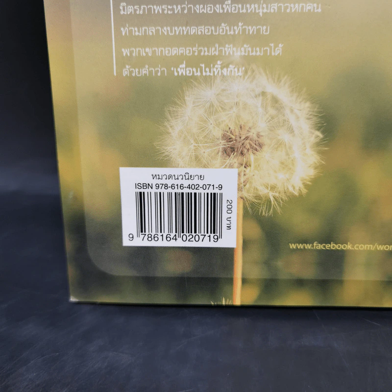 พรุ่งนี้ ดาวยังพราวแสง - ชลนิล รูปที่ 13