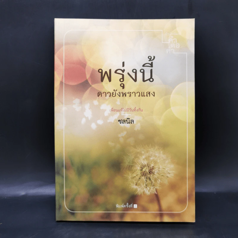 พรุ่งนี้ ดาวยังพราวแสง - ชลนิล รูปที่ 1