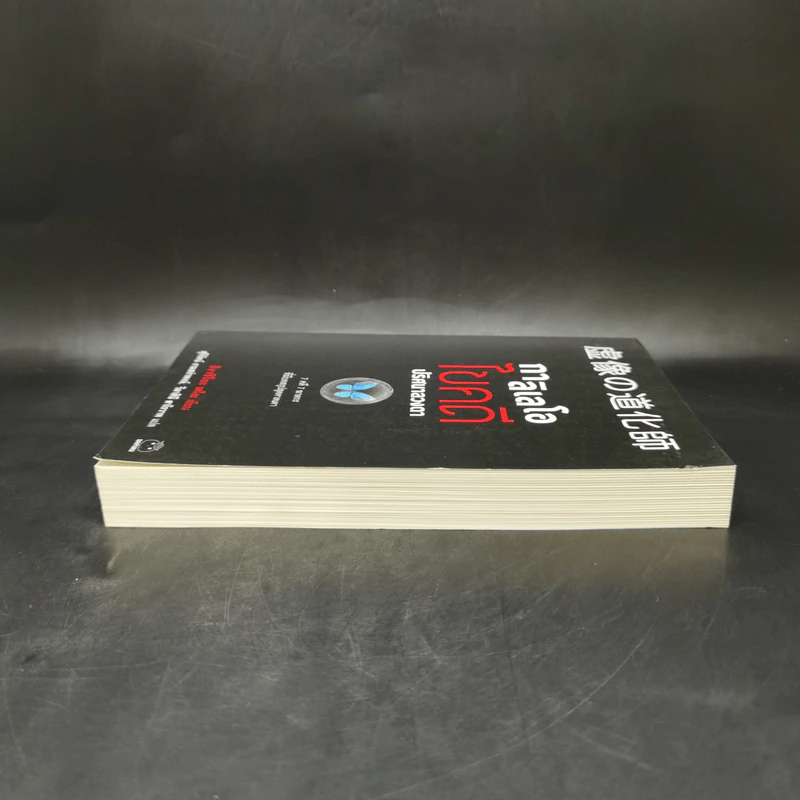 กาลิเลโอไขคดี ปริศนาลวงตา - ฮิงาชิโนะ เคโงะ (Keigo Higashino) รูปที่ 5