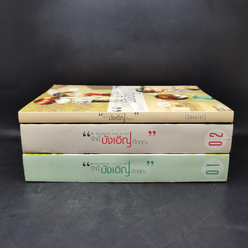 My Accidental Love is You รักนี้บังเอิญคือคุณ 2 เล่มจบ Boxset - MAME รูปที่ 3