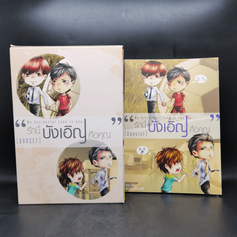 My Accidental Love is You รักนี้บังเอิญคือคุณ 2 เล่มจบ Boxset - MAME รูปที่ 1