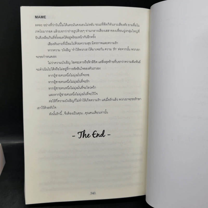 My Accidental Love is You รักนี้บังเอิญคือคุณ 2 เล่มจบ Boxset - MAME รูปที่ 14