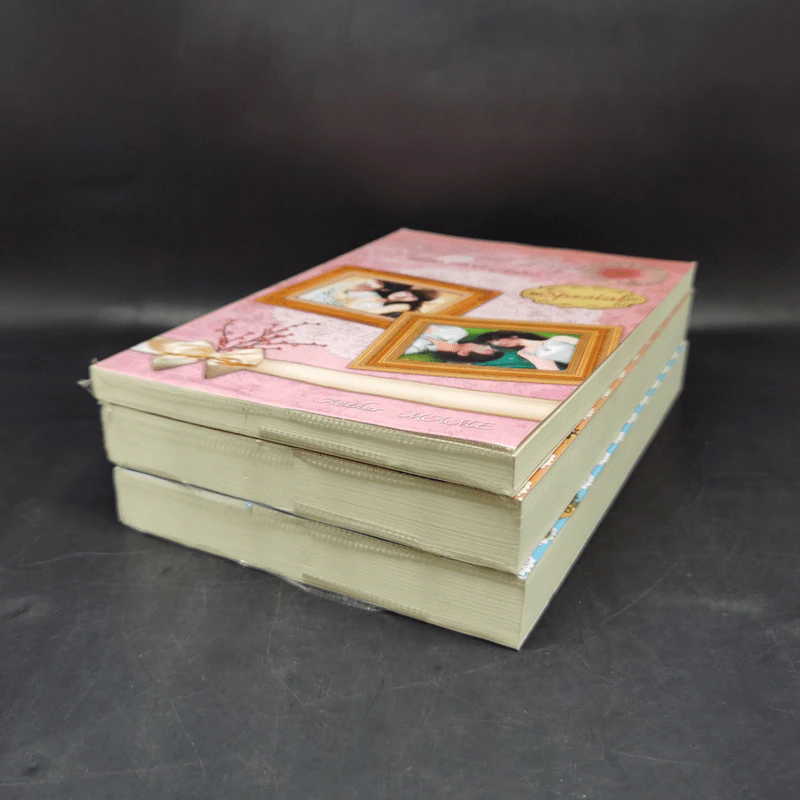 นิยายวาย The Twin's Trap..เล่ห์รัก แฝดเจ้ามา(ร)ยา 3 เล่มจบ รูปที่ 6