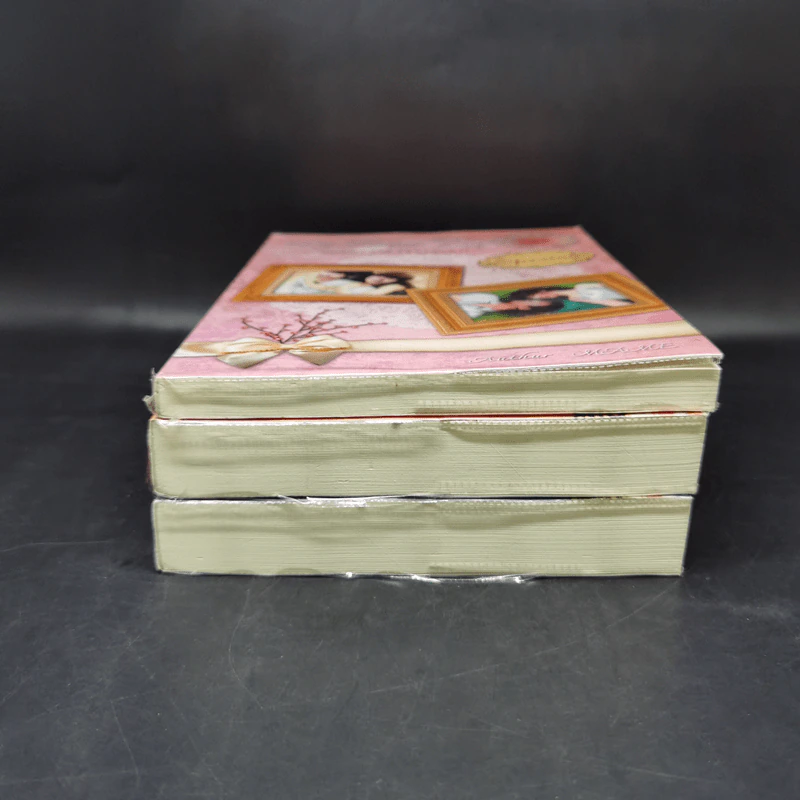 นิยายวาย The Twin's Trap..เล่ห์รัก แฝดเจ้ามา(ร)ยา 3 เล่มจบ รูปที่ 3