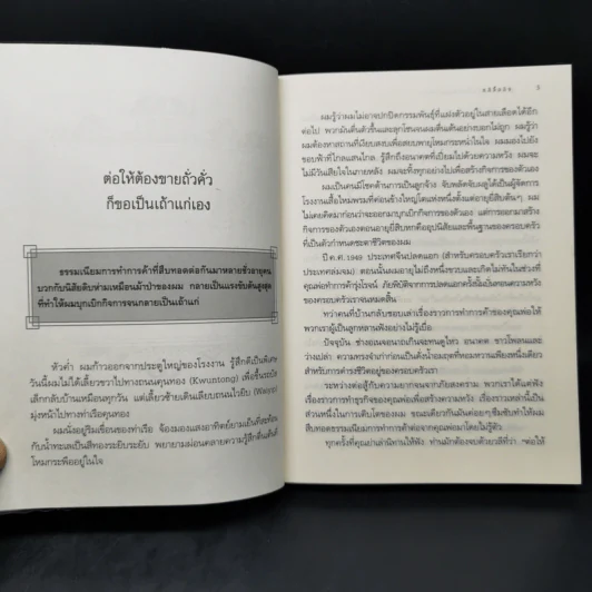 ความสำเร็จไม่มีสูตรสำเร็จ - หลีจืออิง รูปที่ 11
