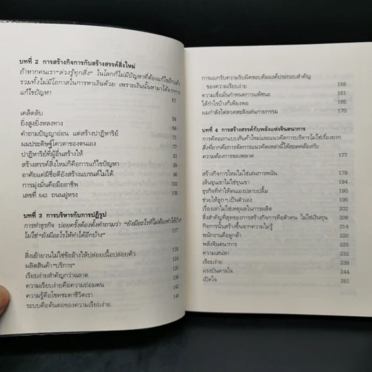 ความสำเร็จไม่มีสูตรสำเร็จ - หลีจืออิง รูปที่ 9