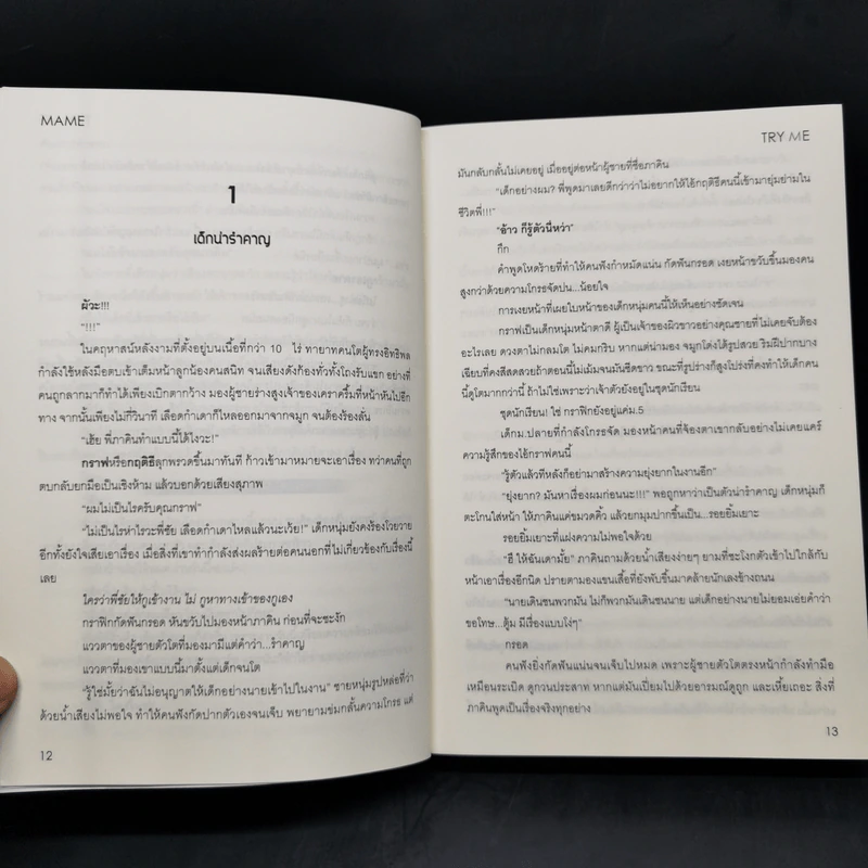 นิยายวาย เสพร้าย...สัมผัสรัก 2 เล่มจบ Boxset - Mame รูปที่ 12