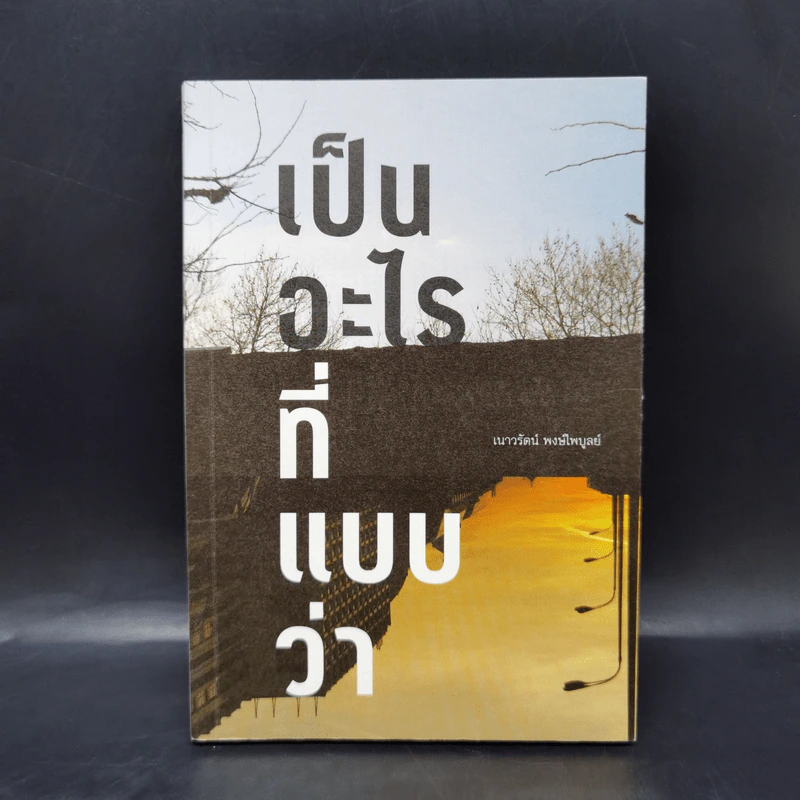 เป็นอะไรที่แบบว่า - เนาวรัตน์ พงษ์ไพบูลย์ รูปที่ 1
