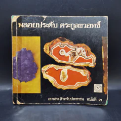 พลอยประดับ ตระกูลขวอทซ์ รูปที่ 1