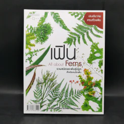 เฟิน All about Ferns รวมชนิดและพันธุ์ปลูก สำหรับคนรักเฟิน รูปที่ 1