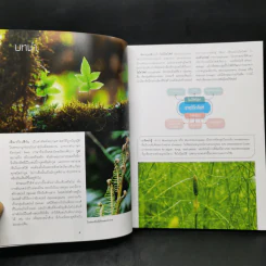 เฟิน All about Ferns รวมชนิดและพันธุ์ปลูก สำหรับคนรักเฟิน รูปที่ 11