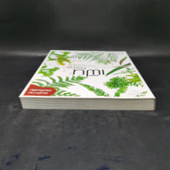 เฟิน All about Ferns รวมชนิดและพันธุ์ปลูก สำหรับคนรักเฟิน รูปที่ 6
