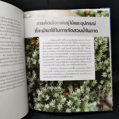 จัดสวนถาด เสริมฮวงจุ้ยที่พักอาศัยและที่ทำงานด้วยสวนถาดสไตล์สวนน้ำ รูปที่ 11