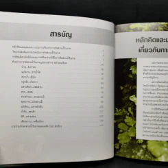 จัดสวนถาด เสริมฮวงจุ้ยที่พักอาศัยและที่ทำงานด้วยสวนถาดสไตล์สวนน้ำ รูปที่ 9