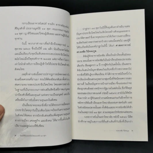 ข้ามให้พ้นประชาธิปไตยแบบหลัง 14 ตุลา - ศ.ดร.ธงชัย วินิจจะกูล รูปที่ 10