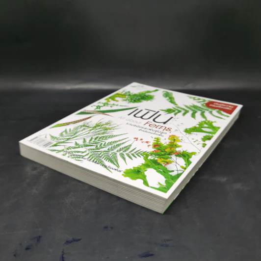เฟิน All about Ferns รวมชนิดและพันธุ์ปลูก สำหรับคนรักเฟิน รูปที่ 7