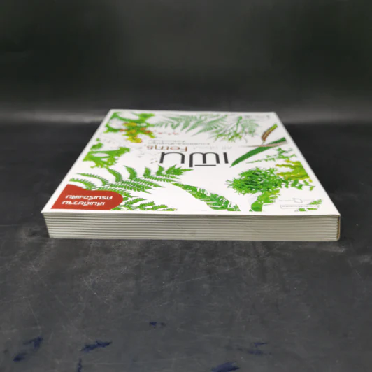 เฟิน All about Ferns รวมชนิดและพันธุ์ปลูก สำหรับคนรักเฟิน รูปที่ 6