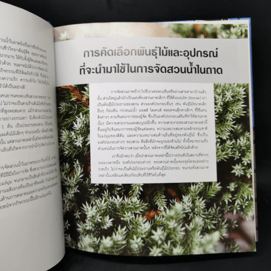จัดสวนถาด เสริมฮวงจุ้ยที่พักอาศัยและที่ทำงานด้วยสวนถาดสไตล์สวนน้ำ รูปที่ 11