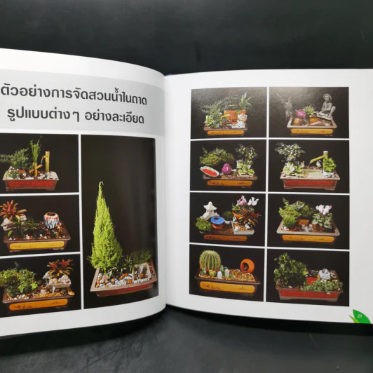 จัดสวนถาด เสริมฮวงจุ้ยที่พักอาศัยและที่ทำงานด้วยสวนถาดสไตล์สวนน้ำ รูปที่ 13