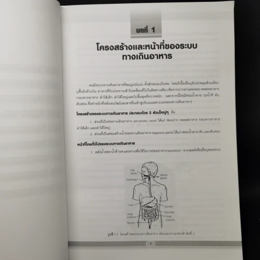 สรีรวิทยาระบบทางเดินอาหารและการประยุกต์ทางคลินิก - รศ.พญ.ดวงพร วีระวัฒกานนท์ รูปที่ 10