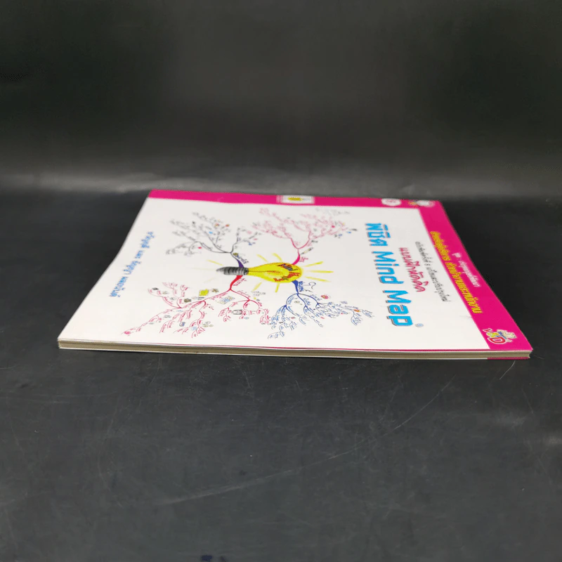 แบบฝึกหัดคิด พิชิต Mind Map - ขวัญฤดี และ ธัญญา ผลอนันต์ รูปที่ 5