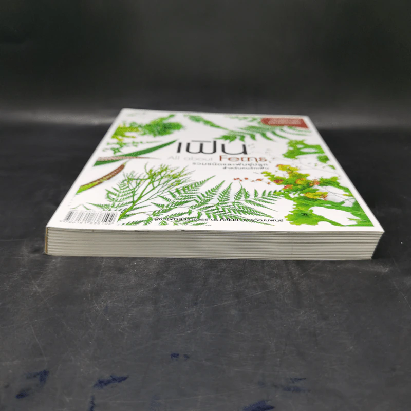 เฟิน All about Ferns รวมชนิดและพันธุ์ปลูก สำหรับคนรักเฟิน รูปที่ 4