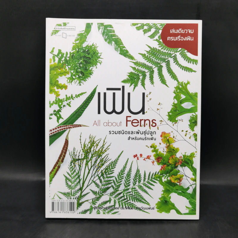 เฟิน All about Ferns รวมชนิดและพันธุ์ปลูก สำหรับคนรักเฟิน รูปที่ 1