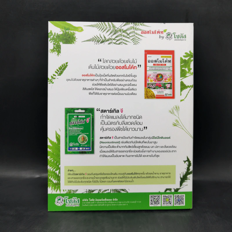 เฟิน All about Ferns รวมชนิดและพันธุ์ปลูก สำหรับคนรักเฟิน รูปที่ 2