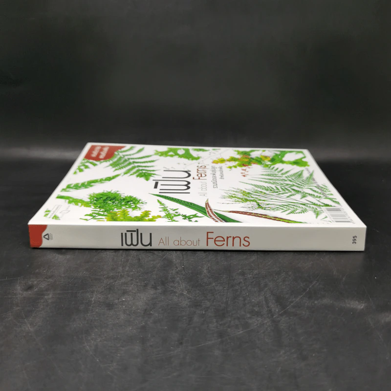 เฟิน All about Ferns รวมชนิดและพันธุ์ปลูก สำหรับคนรักเฟิน รูปที่ 3