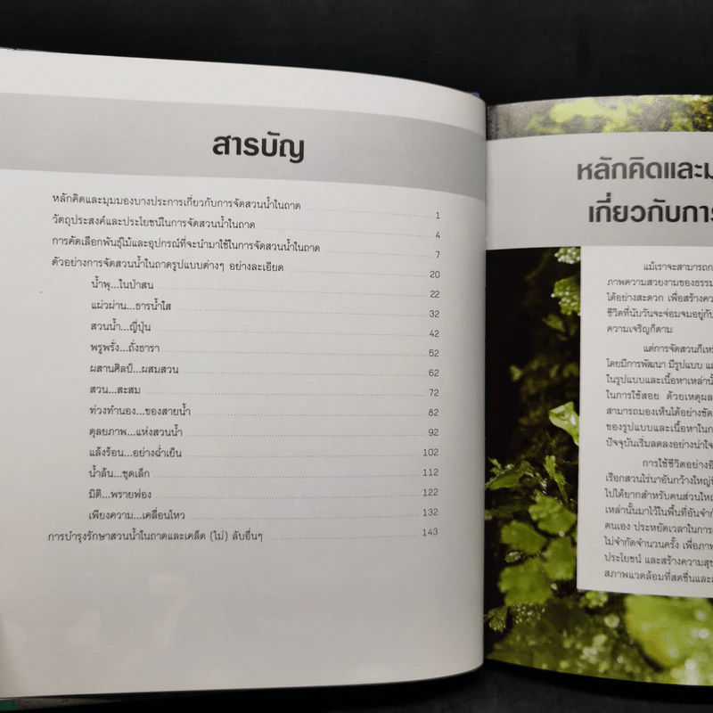 จัดสวนถาด เสริมฮวงจุ้ยที่พักอาศัยและที่ทำงานด้วยสวนถาดสไตล์สวนน้ำ รูปที่ 9