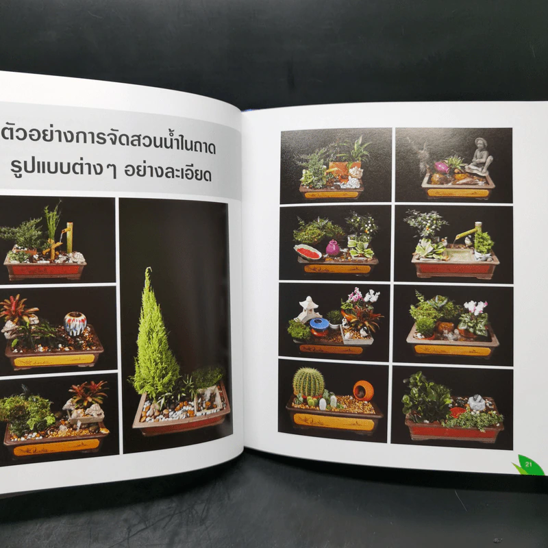 จัดสวนถาด เสริมฮวงจุ้ยที่พักอาศัยและที่ทำงานด้วยสวนถาดสไตล์สวนน้ำ รูปที่ 13
