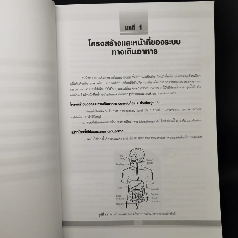 สรีรวิทยาระบบทางเดินอาหารและการประยุกต์ทางคลินิก - รศ.พญ.ดวงพร วีระวัฒกานนท์ รูปที่ 10