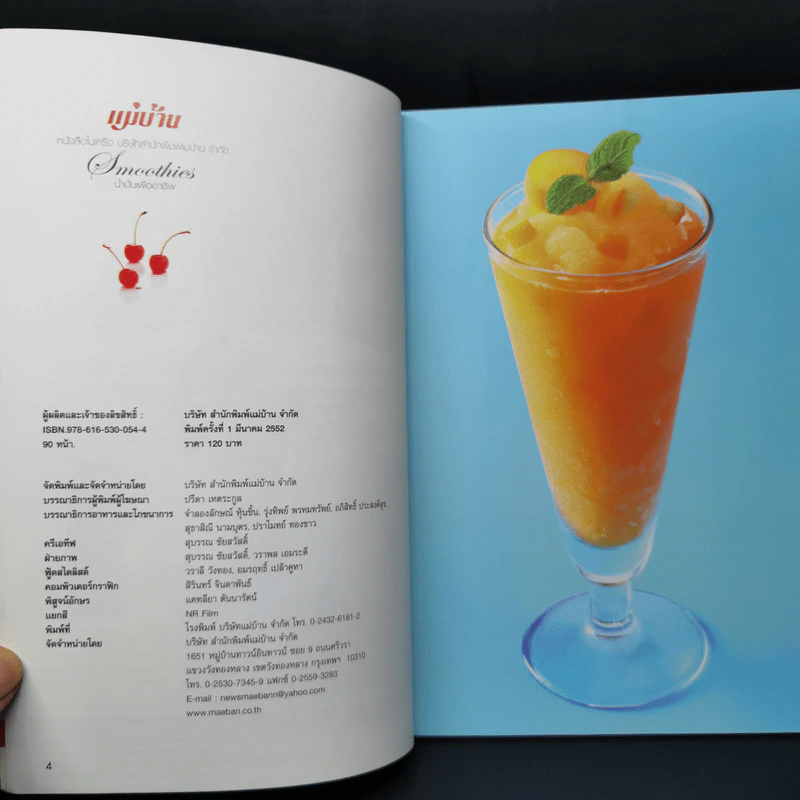 Smoothies น้ำปั่นเพื่ออาชีพ Blender Drinks For Professionals รูปที่ 8