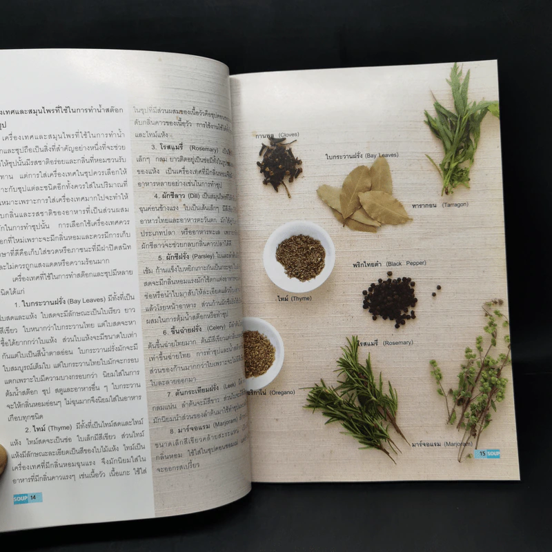 Soup - อาจารย์ดารามาศ แก้วแดง รูปที่ 11