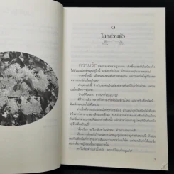 อกเกือบหักแอบรักคุณสามี - นาวาร้อยกวี รูปที่ 10