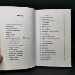 มหัศจรรย์พลังหินบำบัด - จุฑามาศ ณ สงขลา รูปที่ 10