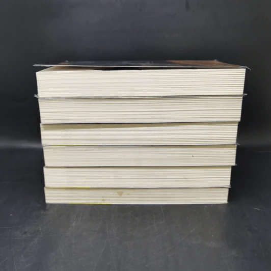 รหัสลับหลังคาโลก The Tibet Code เล่ม 1-6 รูปที่ 4