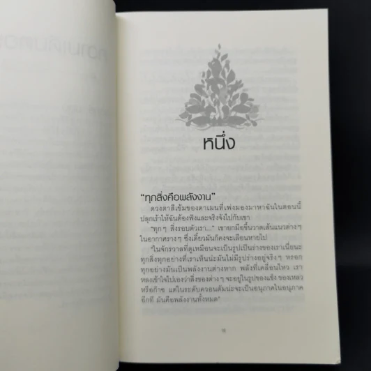 เอเวอร์มอร์ ตอน รัตติกาลสีน้ำเงิน + ทิวลิปปริศนา + เพลิงปรารถนา + นิรยมายา - Alyson Noel รูปที่ 17