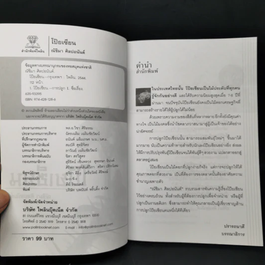 โป๊ยเซียน - ณัชิมา ศิลปอนันต์ รูปที่ 8