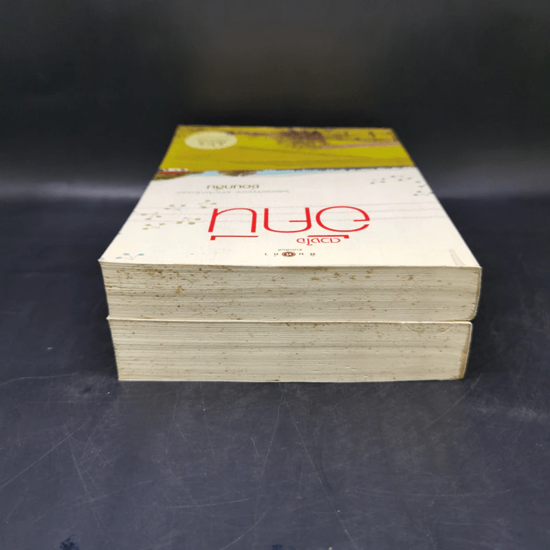 ธาราหิมาลัย - ณารา + ดวงใจอัคนี - ซ่อนกลิ่น รูปที่ 6