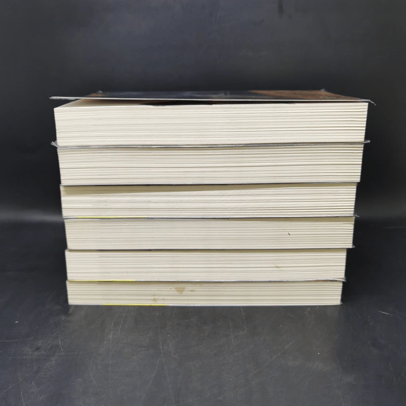 รหัสลับหลังคาโลก The Tibet Code เล่ม 1-6 รูปที่ 4