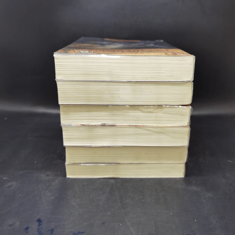 รหัสลับหลังคาโลก The Tibet Code เล่ม 1-6 รูปที่ 5