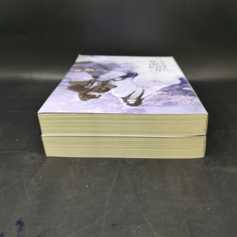 นิยายวาย ฆ่าหมาป่า เล่ม 1-2 - Priest (พีต้า) รูปที่ 5