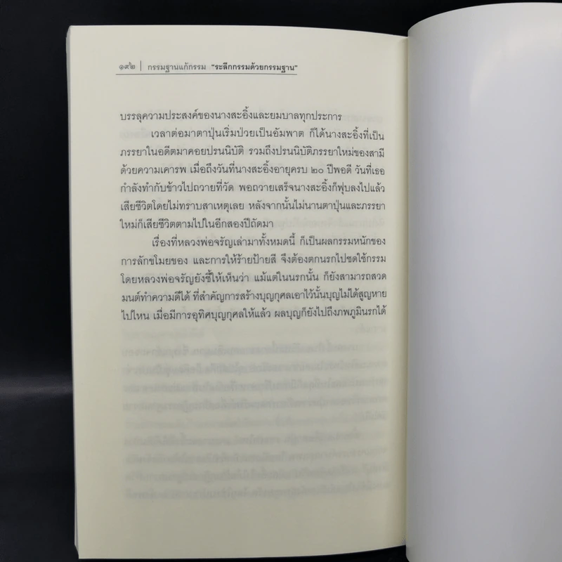 ชุดกรรมฐานแก้กรรม ระลึกกรรมด้วยกรรมฐาน - พระธรรมสิงหบุราจารย์ (หลวงพ่อจรัญ) รูปที่ 11