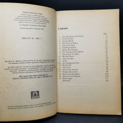 Journey to the Centre of the Earth - Jules Verne รูปที่ 9